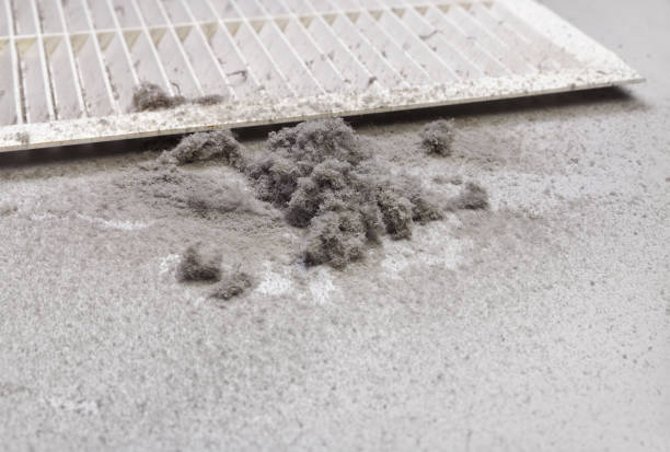Best Air Duct Cleaning Near Me  in Port Wentworth, GA